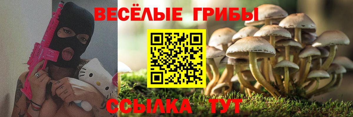 Псилоцибиновые грибы мицелий  Вход с VPN  Кириши  Галлюциногенные грибы Cubensis 